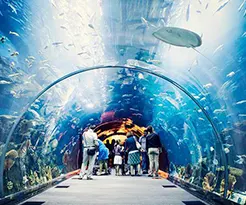 Dubai Aquarium