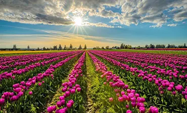 discover_kashmir