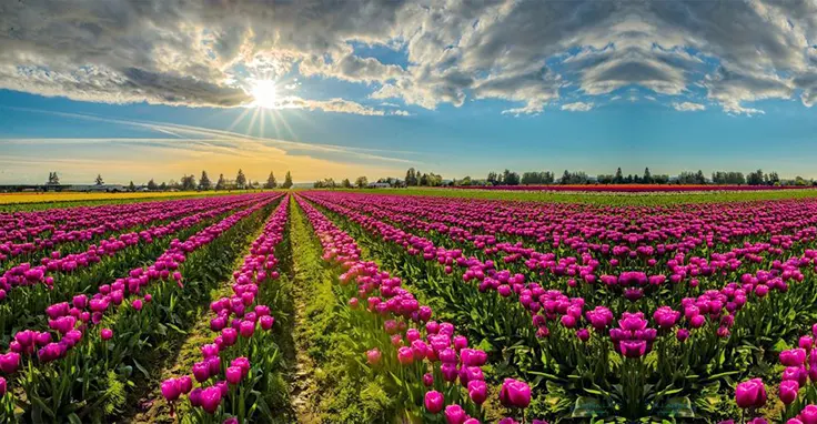 discover_kashmir_h