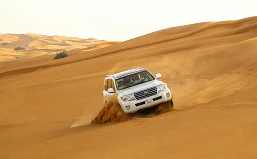 dubai_delights